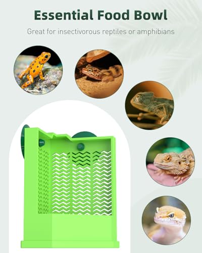 Bearded Dragon Feeder (Corner Mounted Feeding Dish / Small)