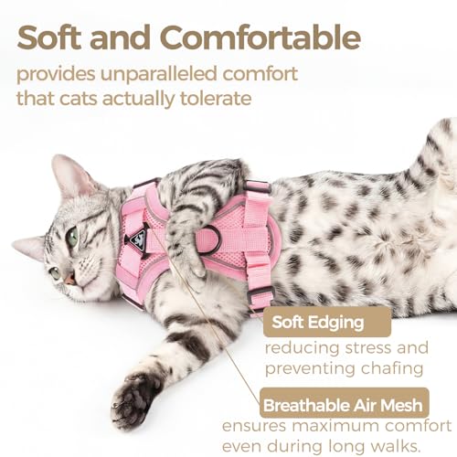 Cat Harness and Leash Set (Pink / Medium)