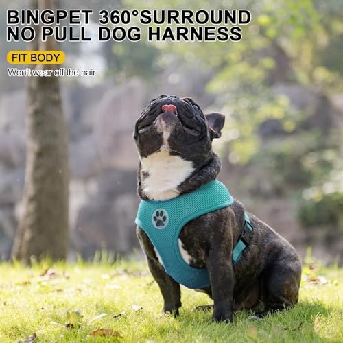 Small Dog Harness (M (NECK: 14", CHEST: 17"-21") / Aqua)