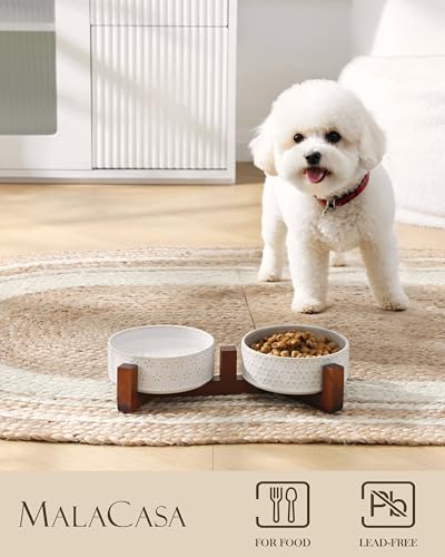 Cat and Dog Bowl Set (Five-leaf Grass+Honeycomb / 2 Cups)