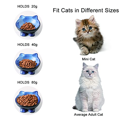 Ceramic Basic Cat Bowls (4.25 OZ / Blue & Black)