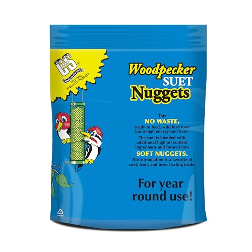 Berry Flavor Suet Nuggets (1.69 Pound (Pack of 1))