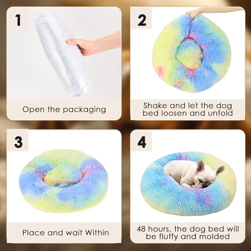 28in Large Dog Bed (Rainbow / 28.0"L x 28.0"W x 8.0"Th)