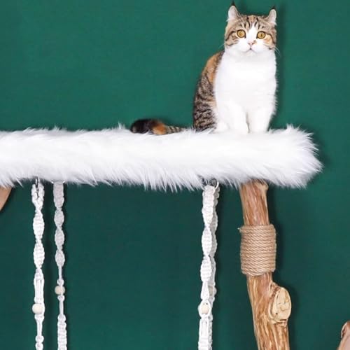 Cat Tree Cat Tree Hammock Enclosed Bed Scratching Post Suitable for Indoor Cats Climbing Playing Resting