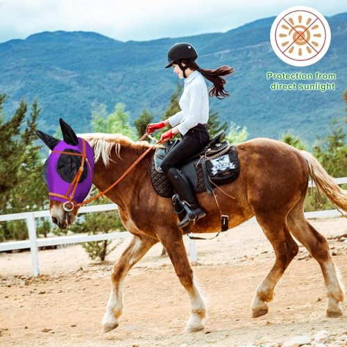 Horse Fly Mask with Ears (Purple / Medium (for 13hh-15hh))
