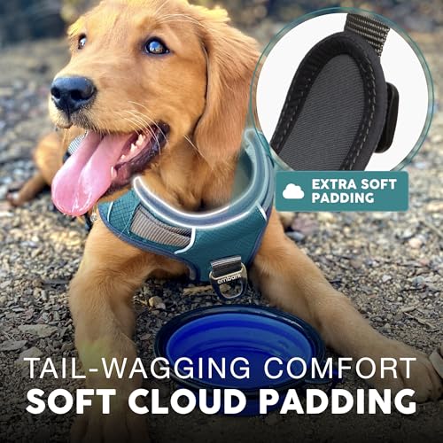 Embark No Pull Dog Harness (M / Blue)
