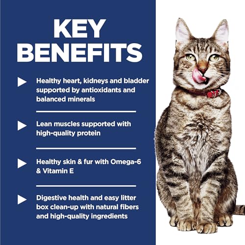 Adult 7+ Indoor Dry Cat Food (7 Pound (Pack of 1))