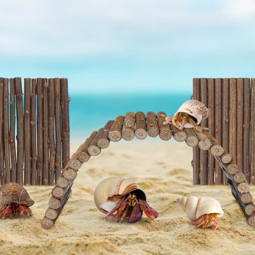 2PCS Reptile Hideout Hermit Crab Bendable Bridge