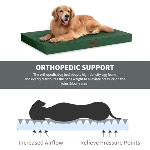 Large Waterproof Orthopedic Dog Bed with Egg Crate Foam (Dark Green / 41.0"L x 27.0"W x 3.5"Th)