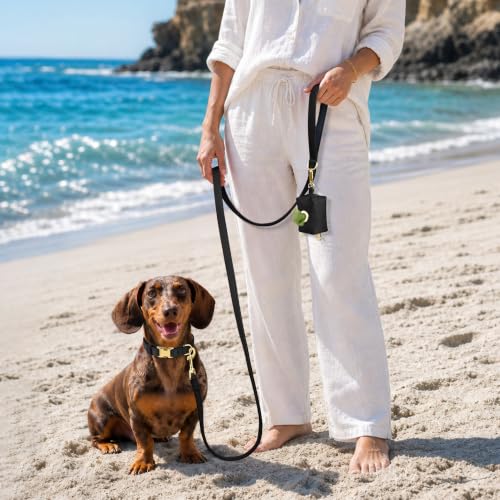 Soft Padded Dog Collar for Small Dogs (Black / S：Fit 10-15" Neck, Width ⅝")