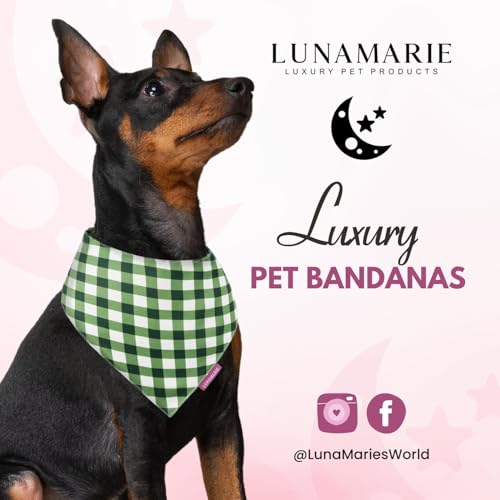 Luxury Pet Birthday Bandanas (Olive / X-Small)