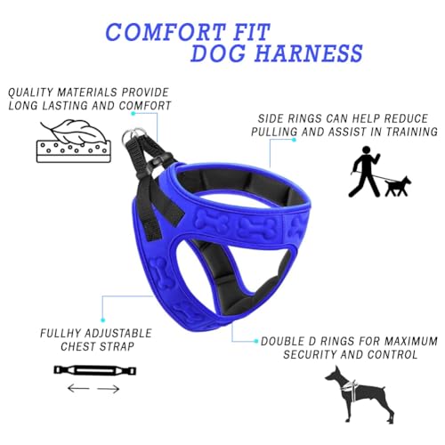 Comfort fit Step (L+ (Chest 21"-23") / Blue)