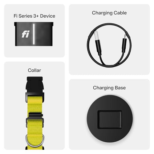 Series 3+ GPS Dog Collar & Tracker (Yellow / Large)