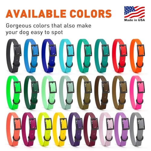 Biothane Waterproof Dog Collar Strong Coated Nylon Webbing with Black Hardware Odor (W1/2" x L9-12" / Cerulean Blue)