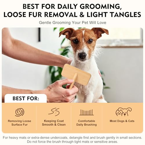 Slicker Brush for Dogs & Cats