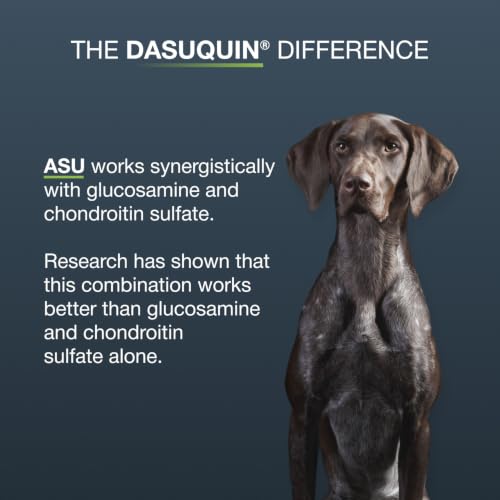 Nutramax Dasuquin MSM Joint Supplement for Large Dogs (42 Count / Large Dog (Over 60 lbs))