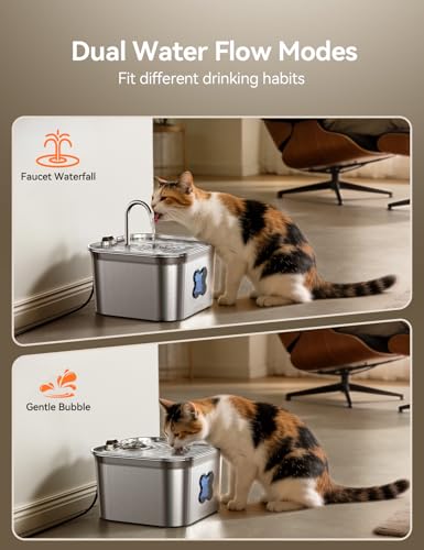 Cat Water Fountain