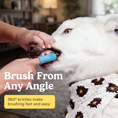 Dog Toothbrush (Blue (2-pack))