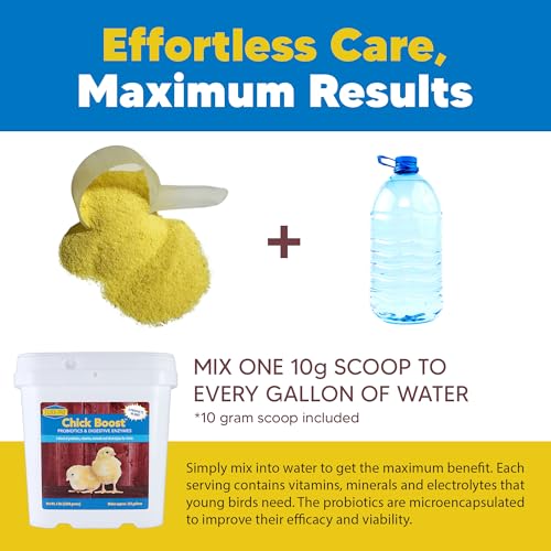 Flock PRO Chick Boost Probiotic (5 lb.)