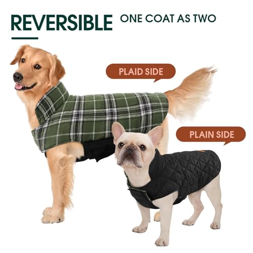 Waterproof Dog Coat (Olive Green / X-Large (Pack of 1))