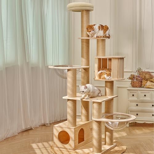 71" Tall Real Wood Cat Tree with 2 Space Capsule Beds