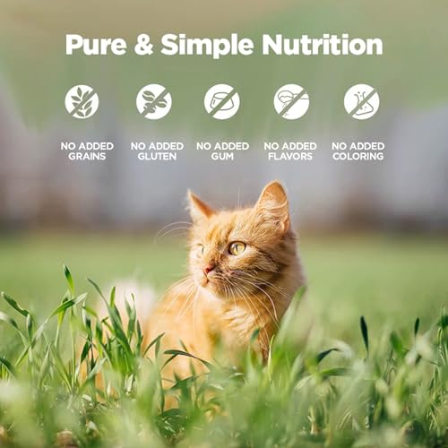 New Zealand Wet Cat Food (6 Ounce (Pack of 12))
