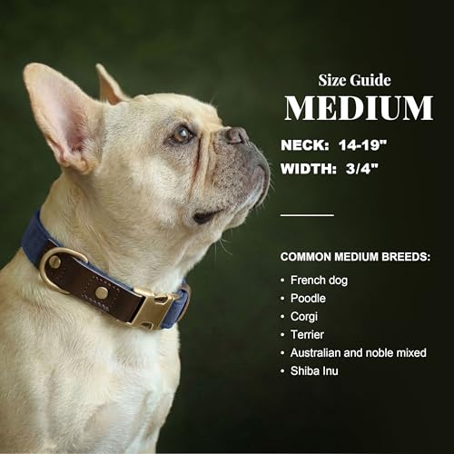 PU Leather Dog Collar for Medium Dogs (Blue / M: Neck 14-19", Width ¾")
