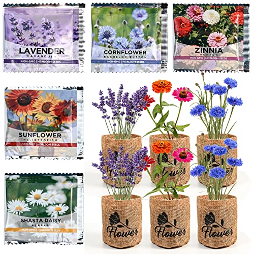 Indoor Daisy Garden Starter Kit with Gardening Tools