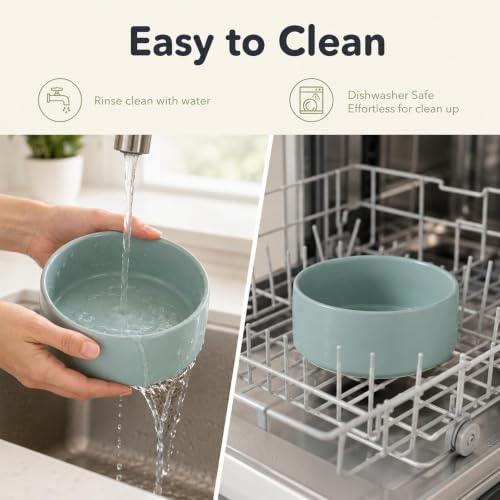 Ceramic Dog Bowls Elevated (Light Green)