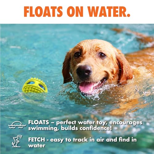 Max Fusion Meteor Ball Dog Toy