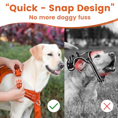 No Pull Dog Harness Front Clip Handle (Orange / XL(Neck:24.8-38.6",Chest:29.1-45.3"))