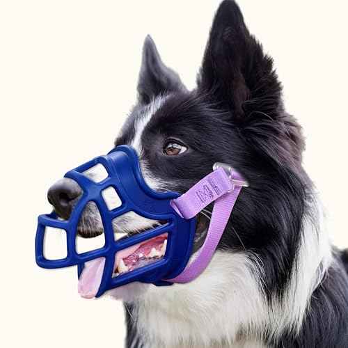 Dog Muzzle Basket Muzzle for Small Medium Large Dogs (Blue / Size 5)