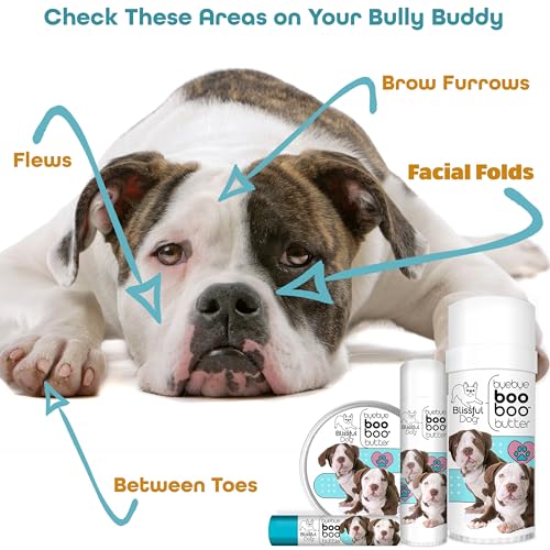 BB-AMBULL-16OZ Rottweiler Boo Butter (16 Ounce / American Bulldog)