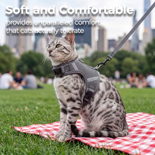 Cat Harness and Leash Set (Grey / Large)