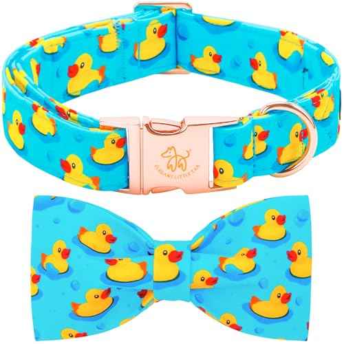 Boy Dog Collar (Duck / Large (Pack of 1))