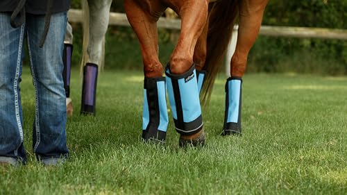 Warrior Fly Boots for Horses (Lil Warrior / Gray)