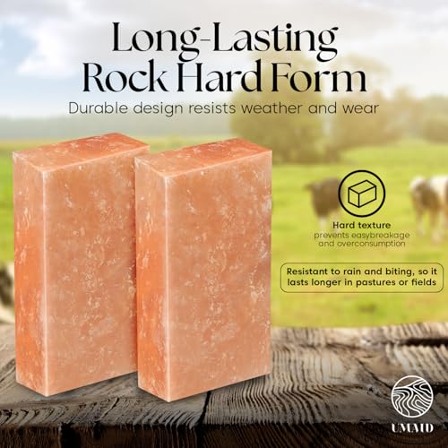 Himalayan Salt Block (5 Pound (Pack of 2))