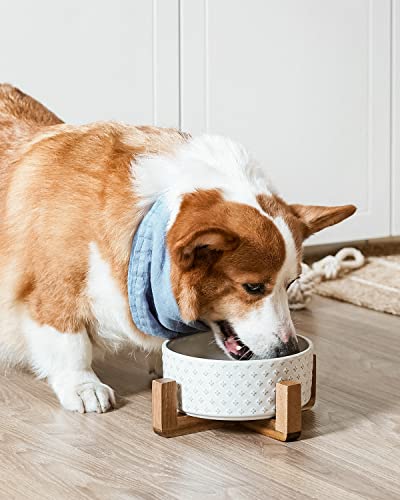 Ceramic Dog Bowls for Large Dogs (Clover / L-5 Cup)