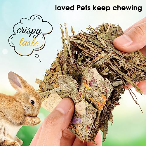 Rabbit Natural Treats (0.3 Ounce (Pack of 10))