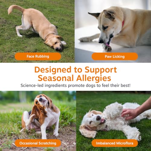 Dog Allergy Chews (90 Count (Pack of 1) - Standard)
