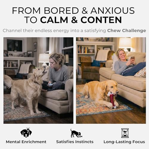 2 Pack Dog Toys for Aggressive Chewers Medium (2PC-Beef-Red)