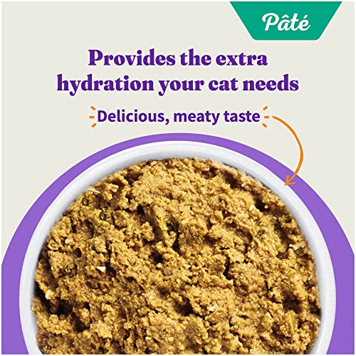 Pate Wet Cat Food