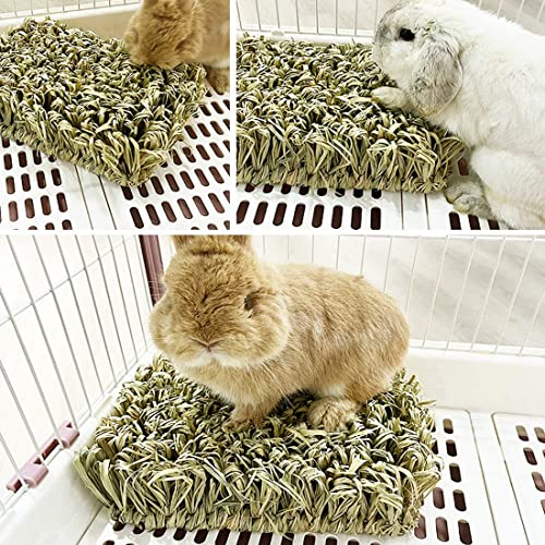 Rabbit Grass Bed Bunny Natural Woven Foraging Mat Guinea Pig Hay Mat Enrichment Toy Scratch Pad for Chinchilla Squirrel Hedgehog (1PCS)