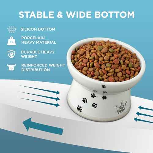 Necoichi Porcelain (Cat / Large)