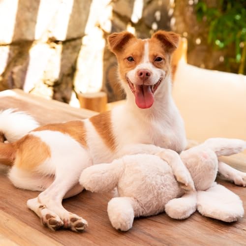 Bunny Buddy Squeaky Plush Dog Toy (Bunny (Beige) / Small)