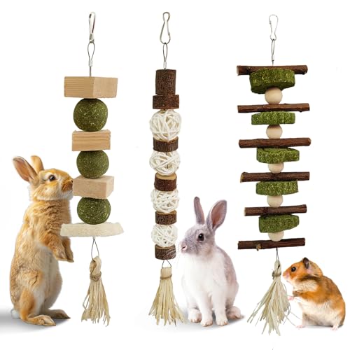 3 PCS Bunny Chew Toys
