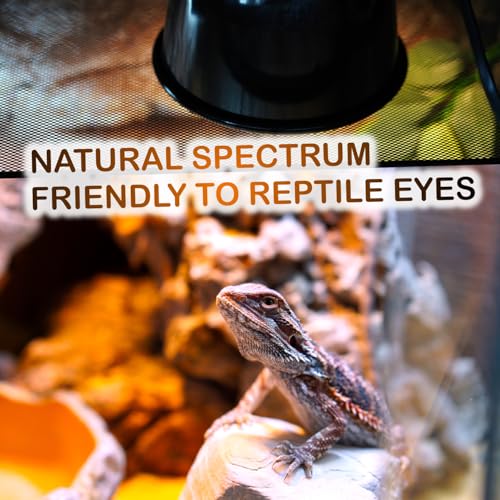 Reptile Heat Lamp Bulbs (100W)