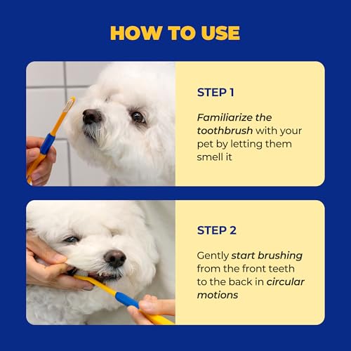 Pet Toothbrush for Cats & Dogs (Medium)
