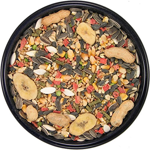Garden Small Animal Food for Hamsters (40 Pound (Pack of 1))
