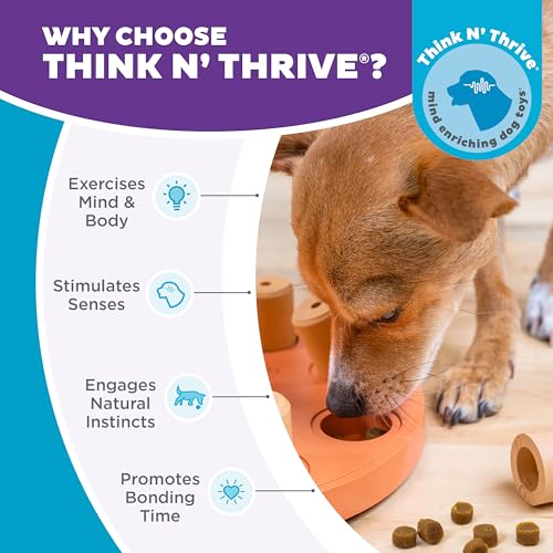by Nina Ottosson Dog Smart Treat Puzzle Enrichment Toy (Dog Smart Composite (Orange) / 1 Count (Pack of 1))